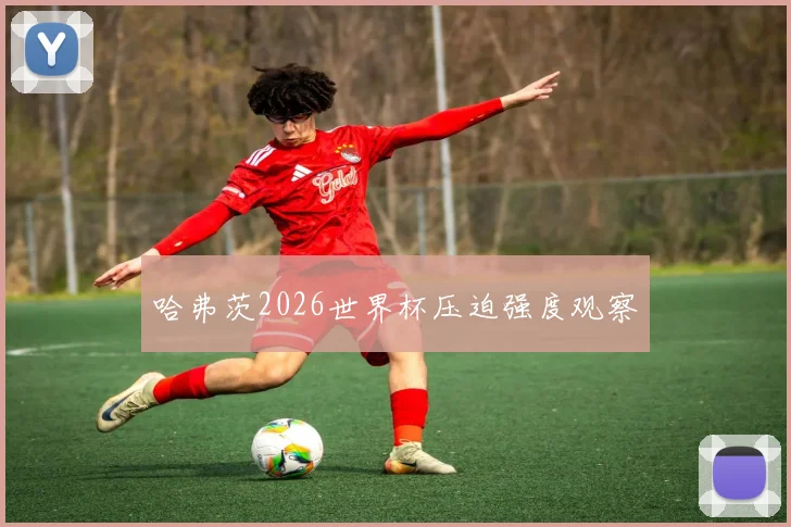 哈弗茨2026世界杯压迫强度观察
