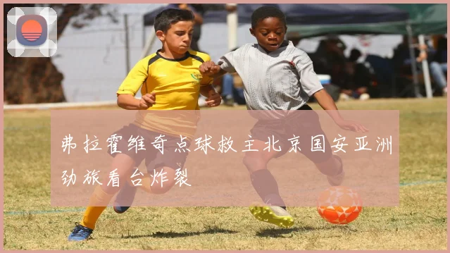 弗拉霍维奇点球救主北京国安亚洲劲旅看台炸裂