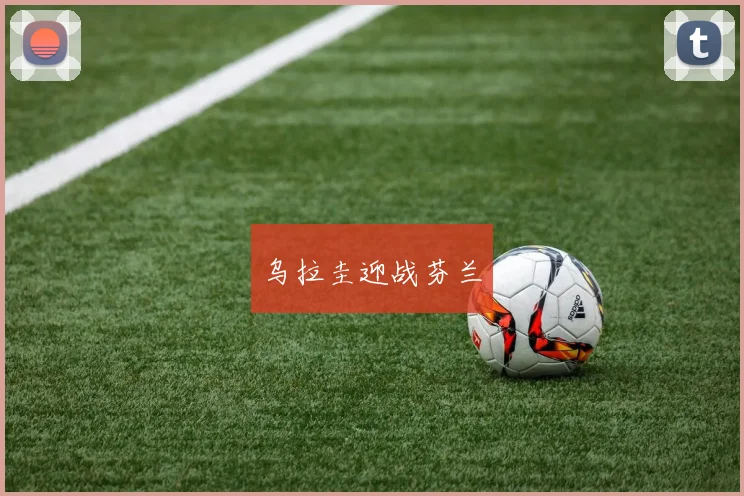 乌拉圭迎战芬兰