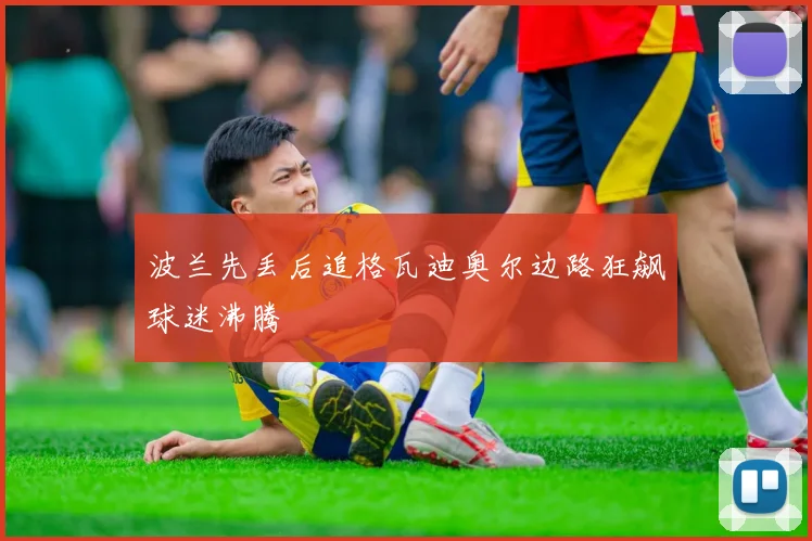 波兰先丢后追格瓦迪奥尔边路狂飙球迷沸腾