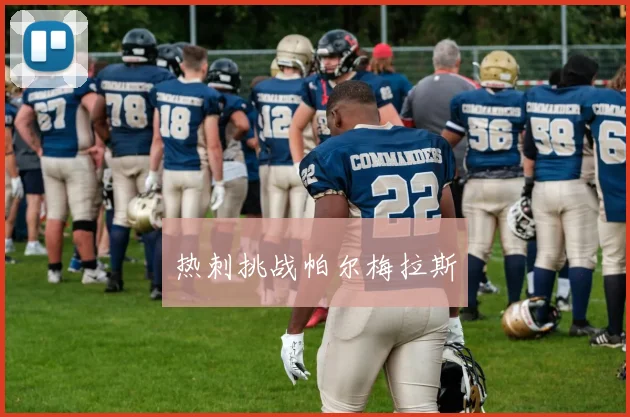 热刺挑战帕尔梅拉斯